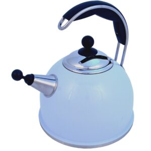 AGA Stainless Steel Whistling Kettle Duck Egg Blue