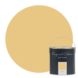Neptune Saffron Paint